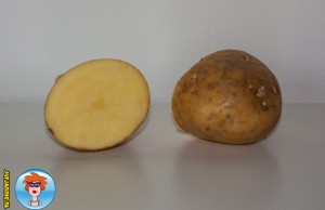 Lieveheersbeestjes stempelen met een aardappel 1