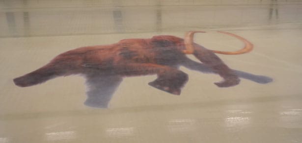 Schaatsen op Het Natuurhistorisch IJs – schaatsen over de eerste Nederlandse ijsmammoet