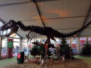 T-rex-1