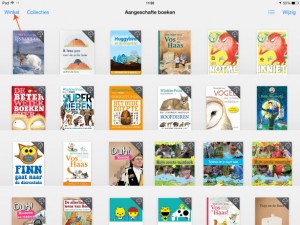 ebook-cadeau-doen-op-de-iPad-1