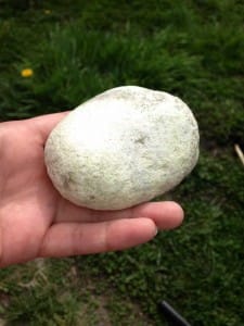 auto-verven-van-steen-1