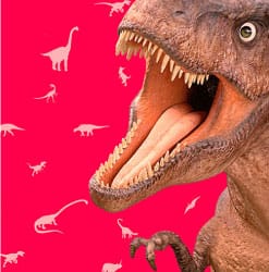 Nationale museumweek bij Naturalis (Leiden)