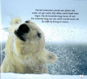 ik-ben-een-ijsbeer2