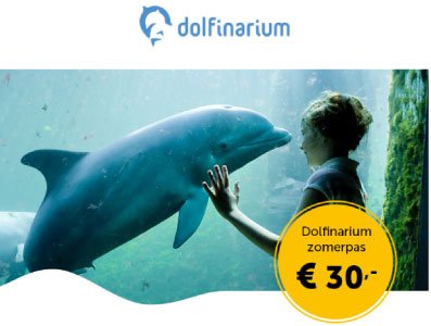 Lekker veel korting op Dolfinarium met een zomerpas