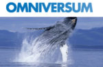 Omniversum Giant Whales