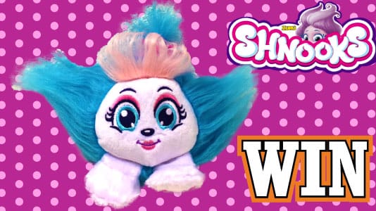 Doe mee met de Shnooks en maak kans op je eigen Shnook