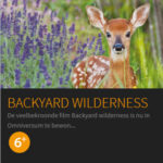 Grootbeeldfilm Backyard Wilderness in Omniversum