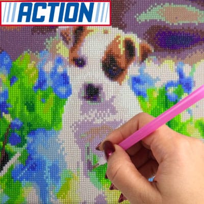 €4 Diamond painting pakket te koop bij ACTION