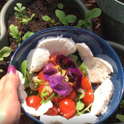 Hoe rucola oogsten? AH moestuintjes