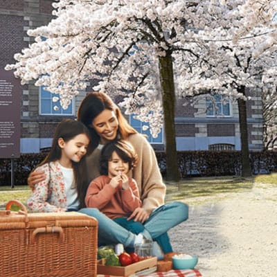 Picknick Hanami festival Wereldmuseum Leiden