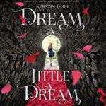 Recensie Silber - Het eerste boek der dromen / 'Dream a Little Dream'