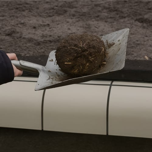 Een dierenverzorger houdt een grote neushoorndrol op een schep in de dierentuin