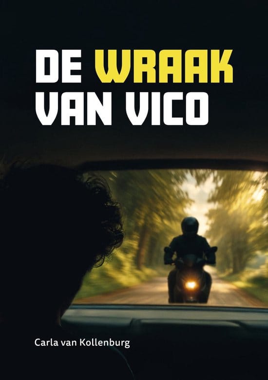 Cover van De wraak van Vico uit de Zoeklicht-serie